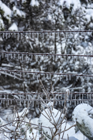 Wire and Ice by artist Mike Shay